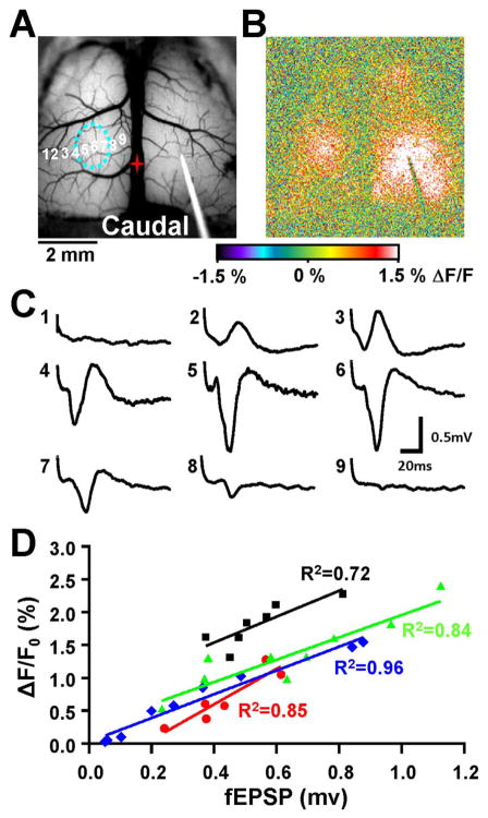 Fig. 3