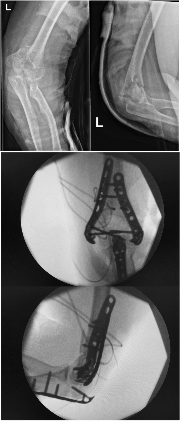 Figure 5 