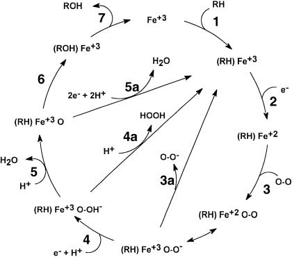 Fig. 8.