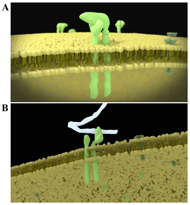 Figure 3.