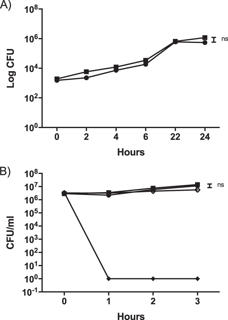 FIG 7