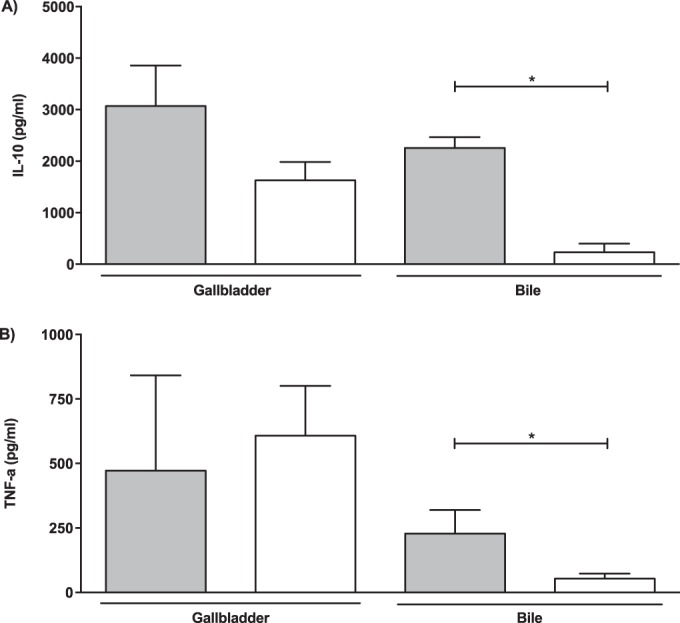 FIG 6