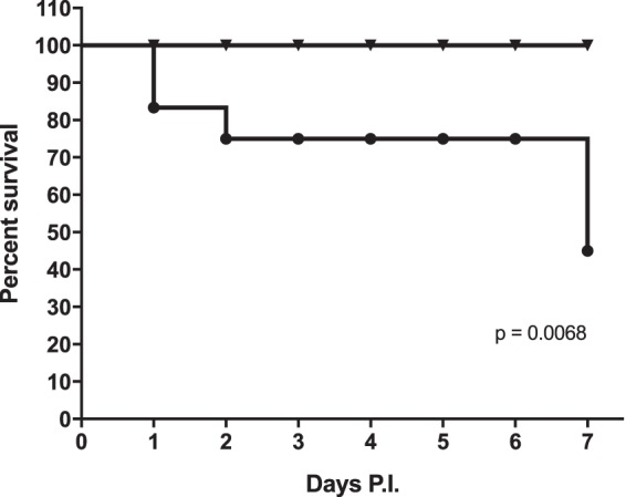 FIG 2