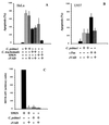 FIG. 1.