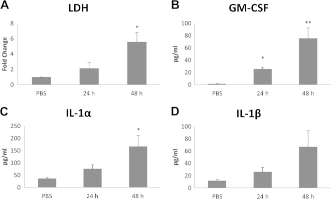 FIG 3