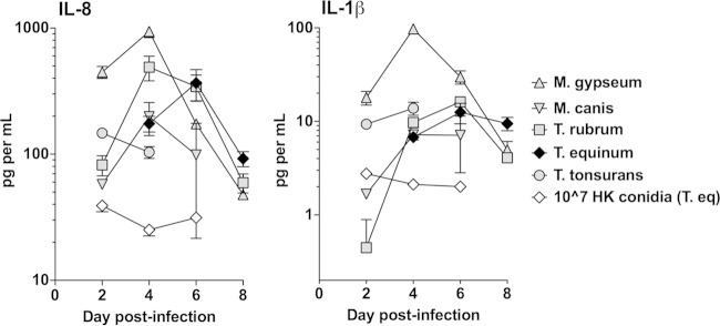 FIG 2