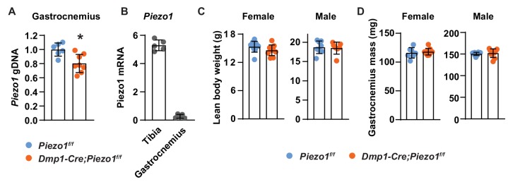 Figure 2—figure supplement 3.