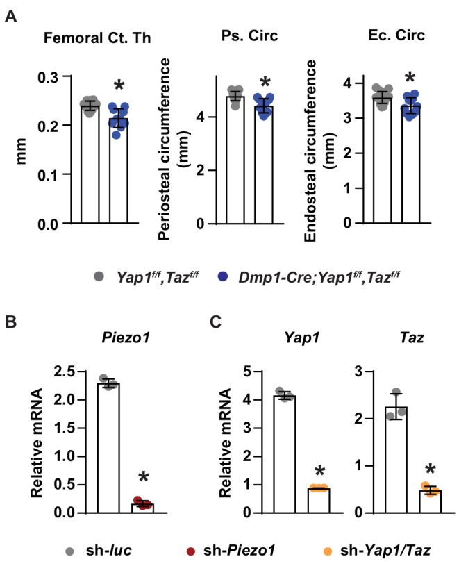 Figure 4—figure supplement 1.