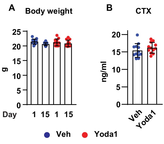 Figure 5—figure supplement 1.