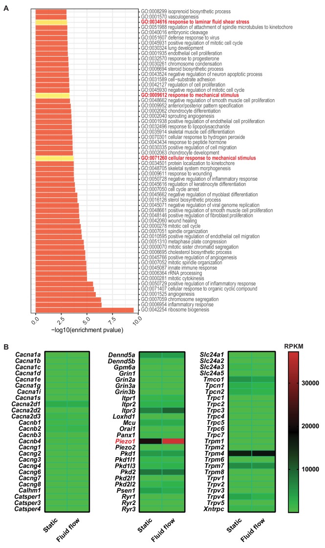 Figure 1—figure supplement 2.