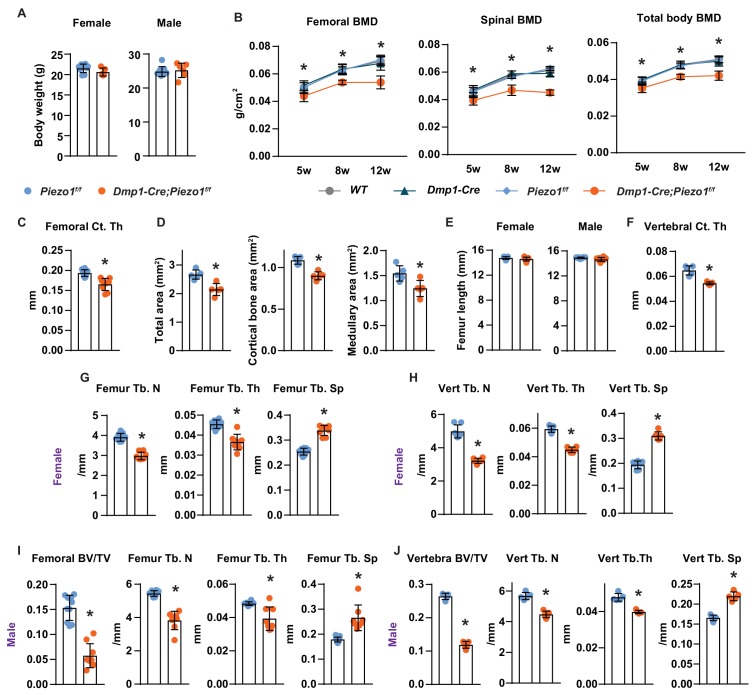 Figure 2—figure supplement 1.