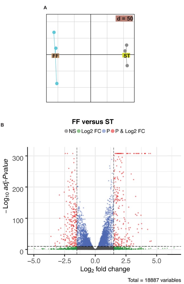 Figure 1—figure supplement 1.