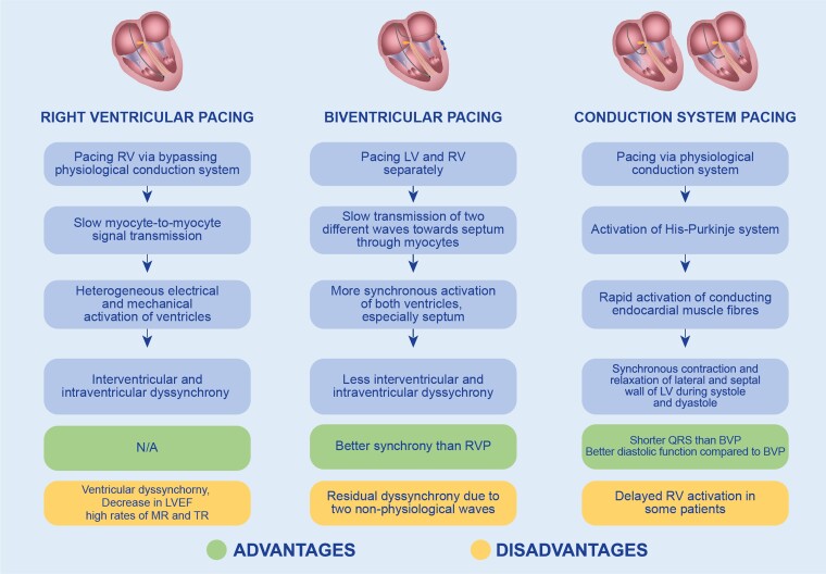 Graphical Abstract