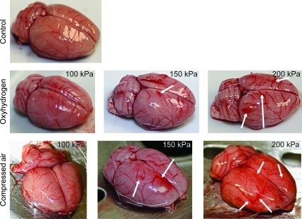 FIG. 9.