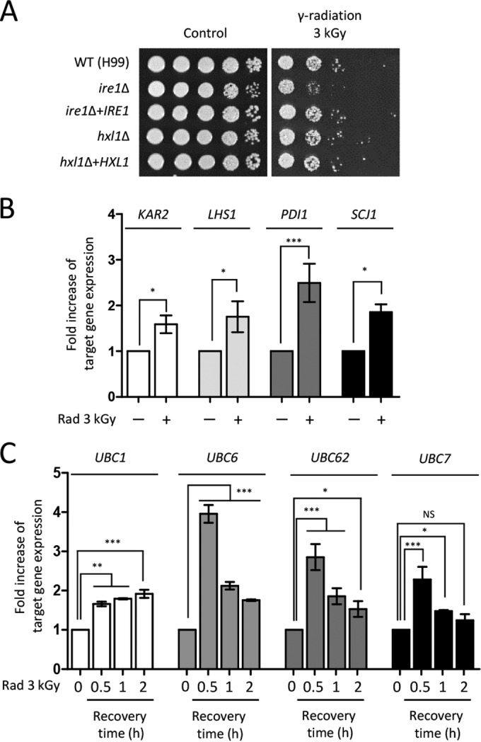 FIG 4 