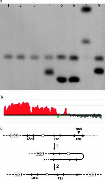 Figure 3.—