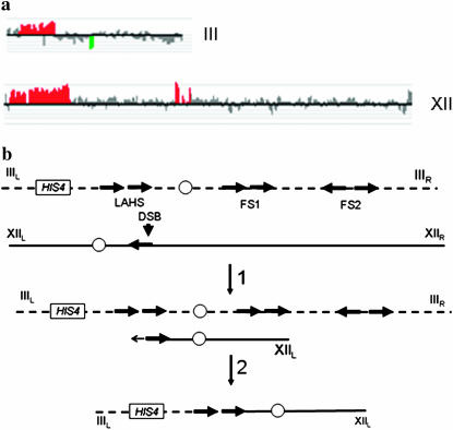 Figure 4.—