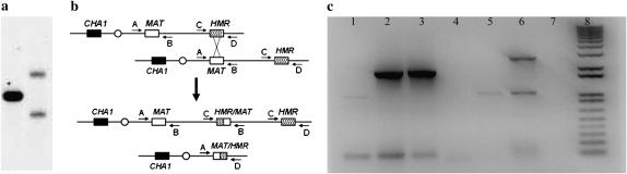 Figure 2.—