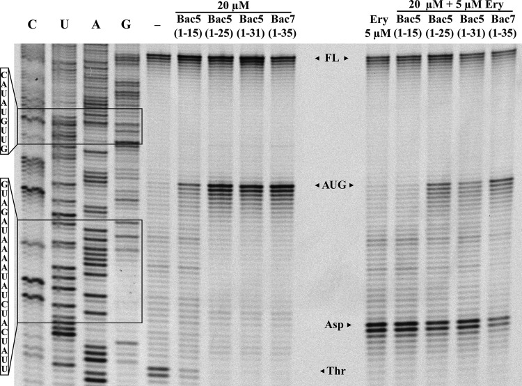 FIG 5