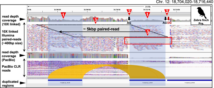 Fig. 3