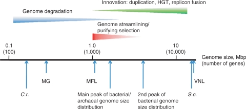 Figure 18.