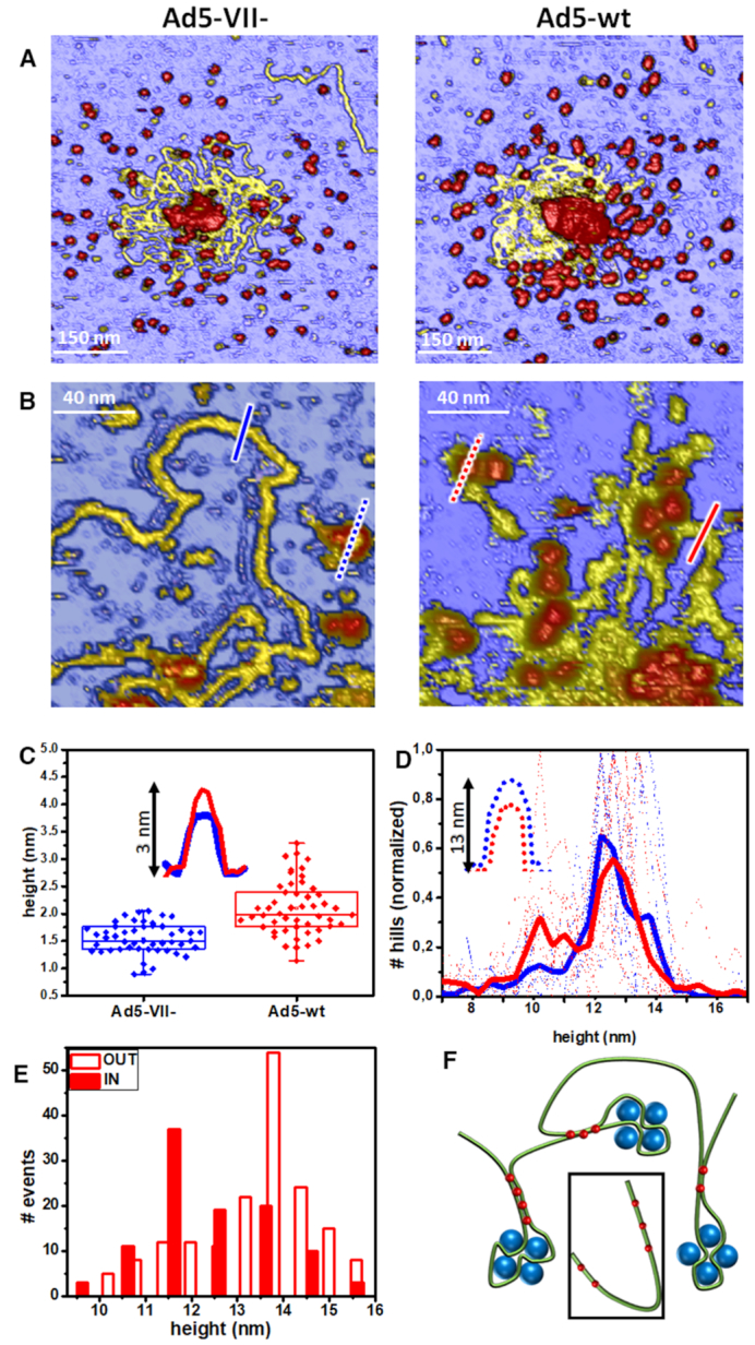 Figure 6.