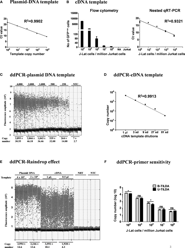 Figure 3