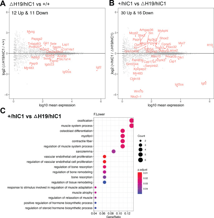 Figure 6—figure supplement 2.