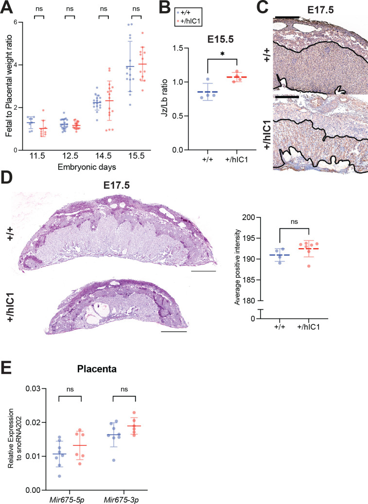 Figure 3—figure supplement 1.