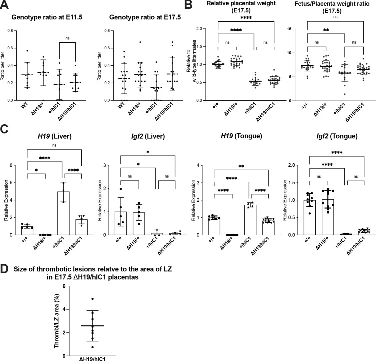 Figure 4—figure supplement 2.