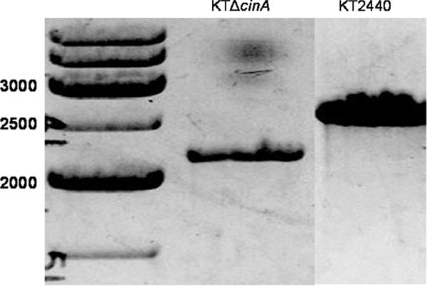 FIG. 9.