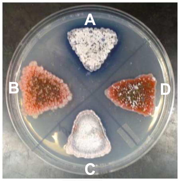 Fig. 2