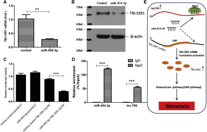 Figure 6