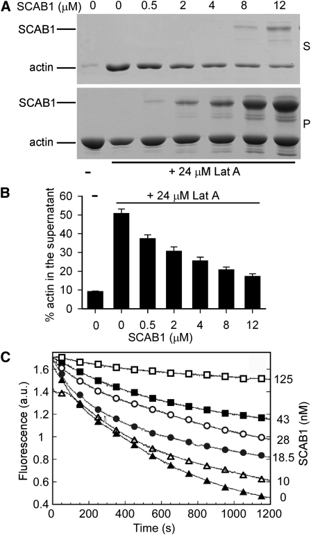 Figure 6.