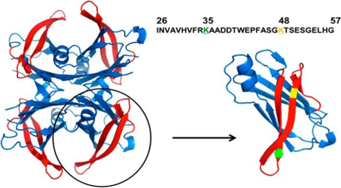 FIGURE 1.