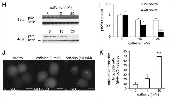 Figure 1H–K