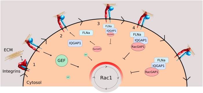 Fig. 8.