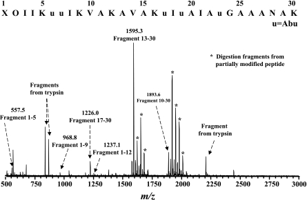 FIG. 8.