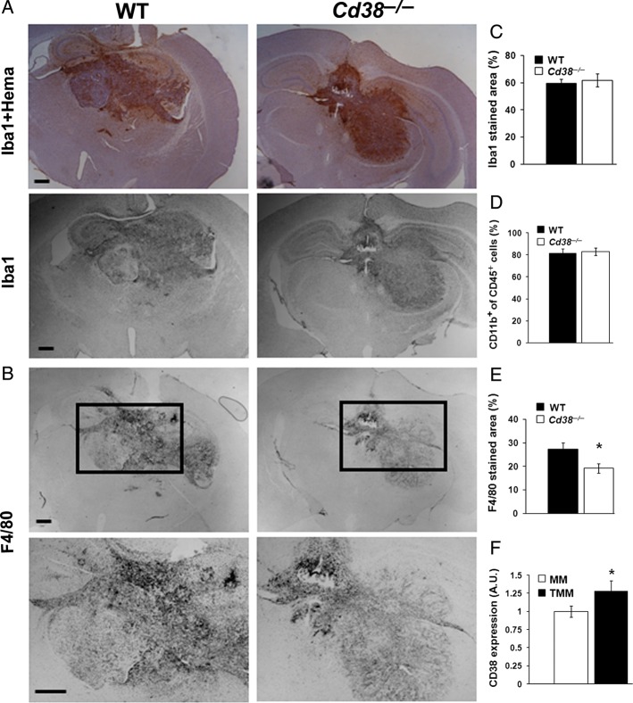 Fig. 4.