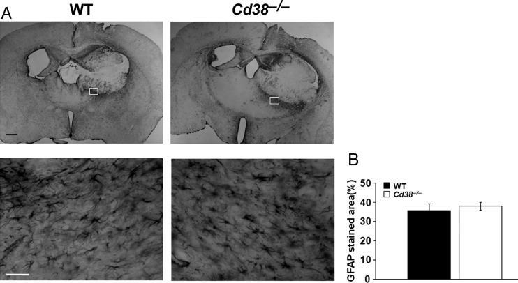 Fig. 2.