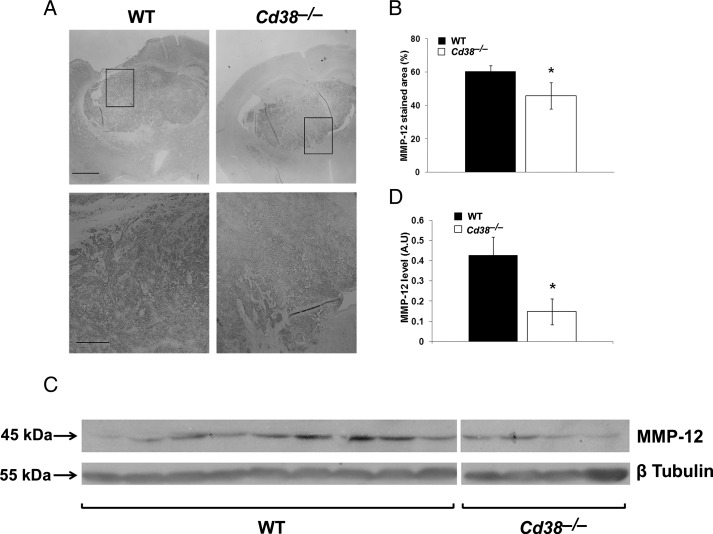 Fig. 6.