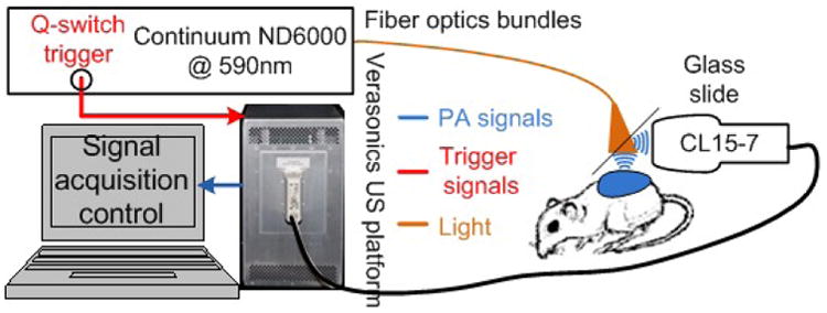 Fig. 2