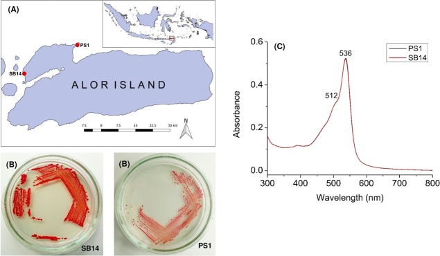 Figure 1