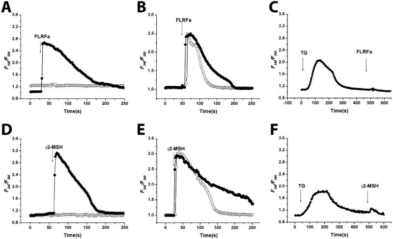 Fig 2.