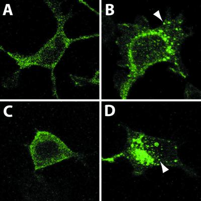 Fig 3.