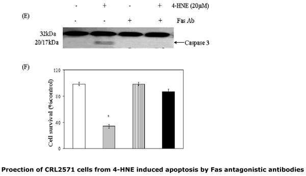 Fig.3