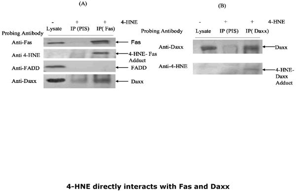 Fig.6