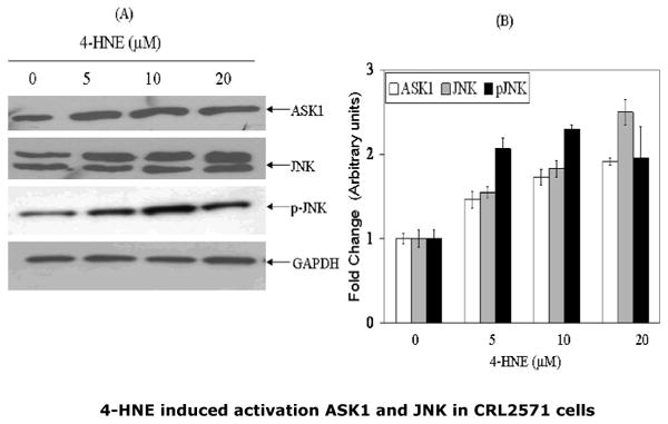 Fig.4