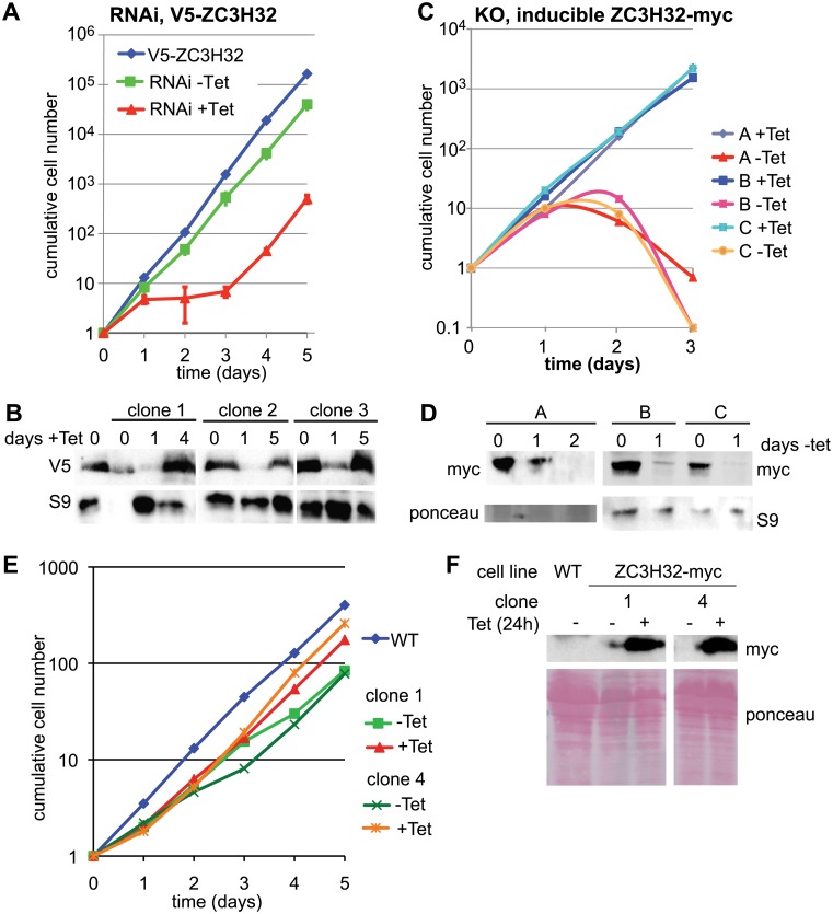 Fig 3