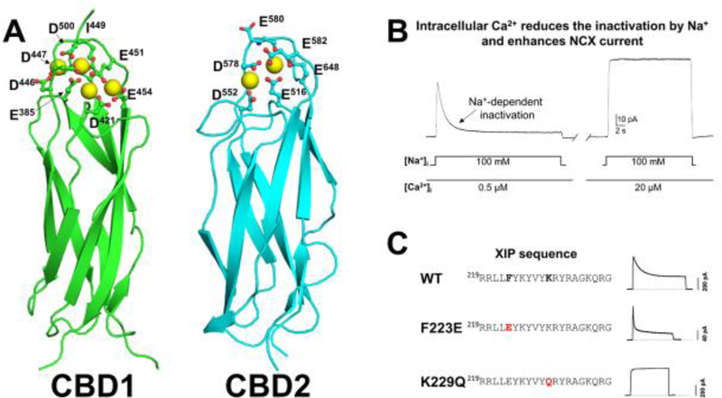 Figure 2: